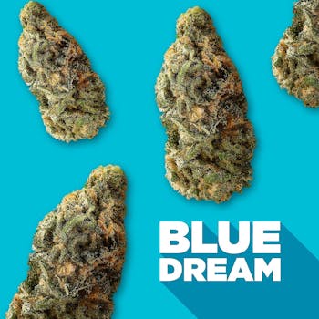 Spinach - Blue Dream - 3.5g